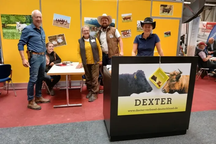 Dexter Stand Bundesschau Erfurt 2024
