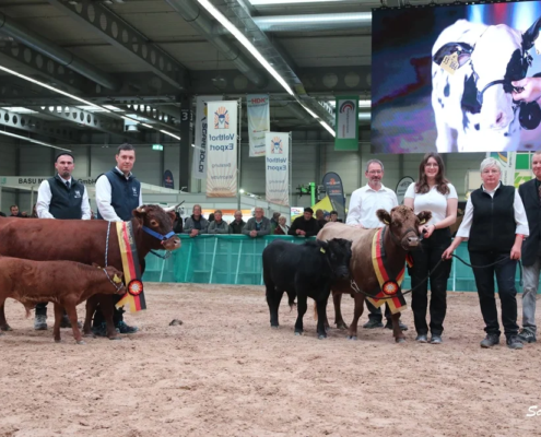 SRG Robust Erfurt 2024 Siegerbild