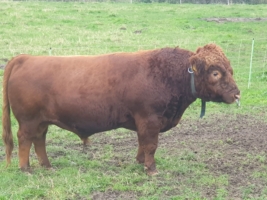 Miniaturansicht für das Anzeigenbild