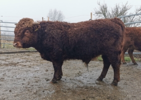 Miniaturansicht für das Anzeigenbild