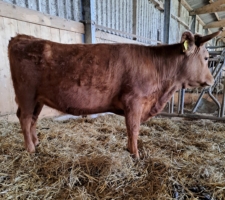 Miniaturansicht für das Anzeigenbild