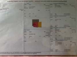 Miniaturansicht für das Anzeigenbild