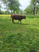Miniaturansicht für das Anzeigenbild