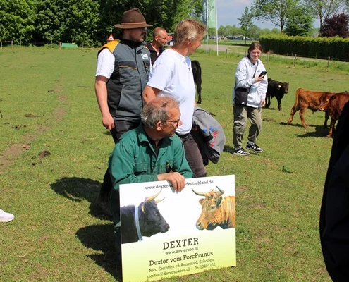 Dextertreffen 2026 in Wehl bei Nico Steintjes